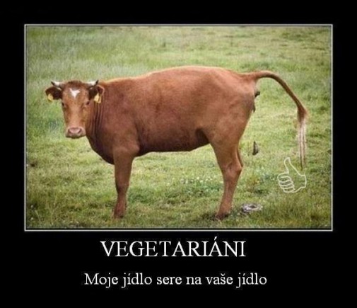 vegetariáni