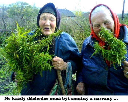 Príspevok 24875