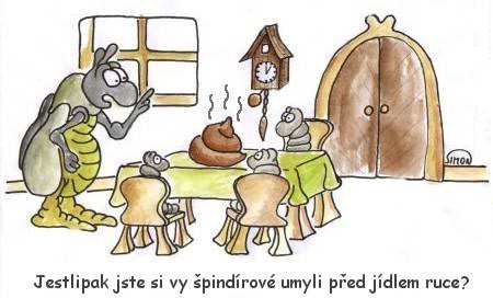 Príspevok 25117